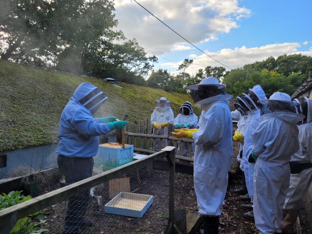 Preparing your bees for winter